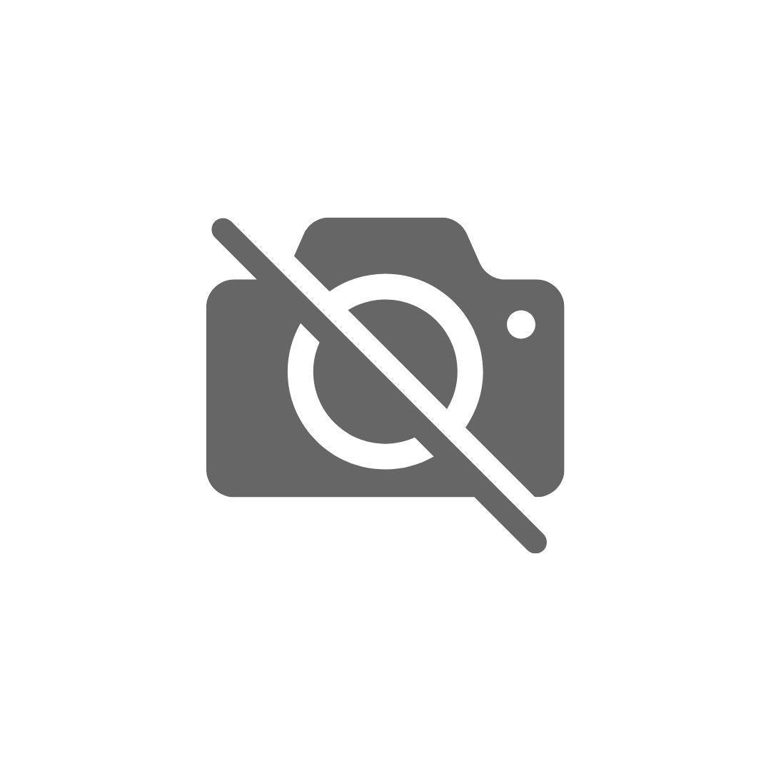 10X38 Compact Combo Gold Sluice Box